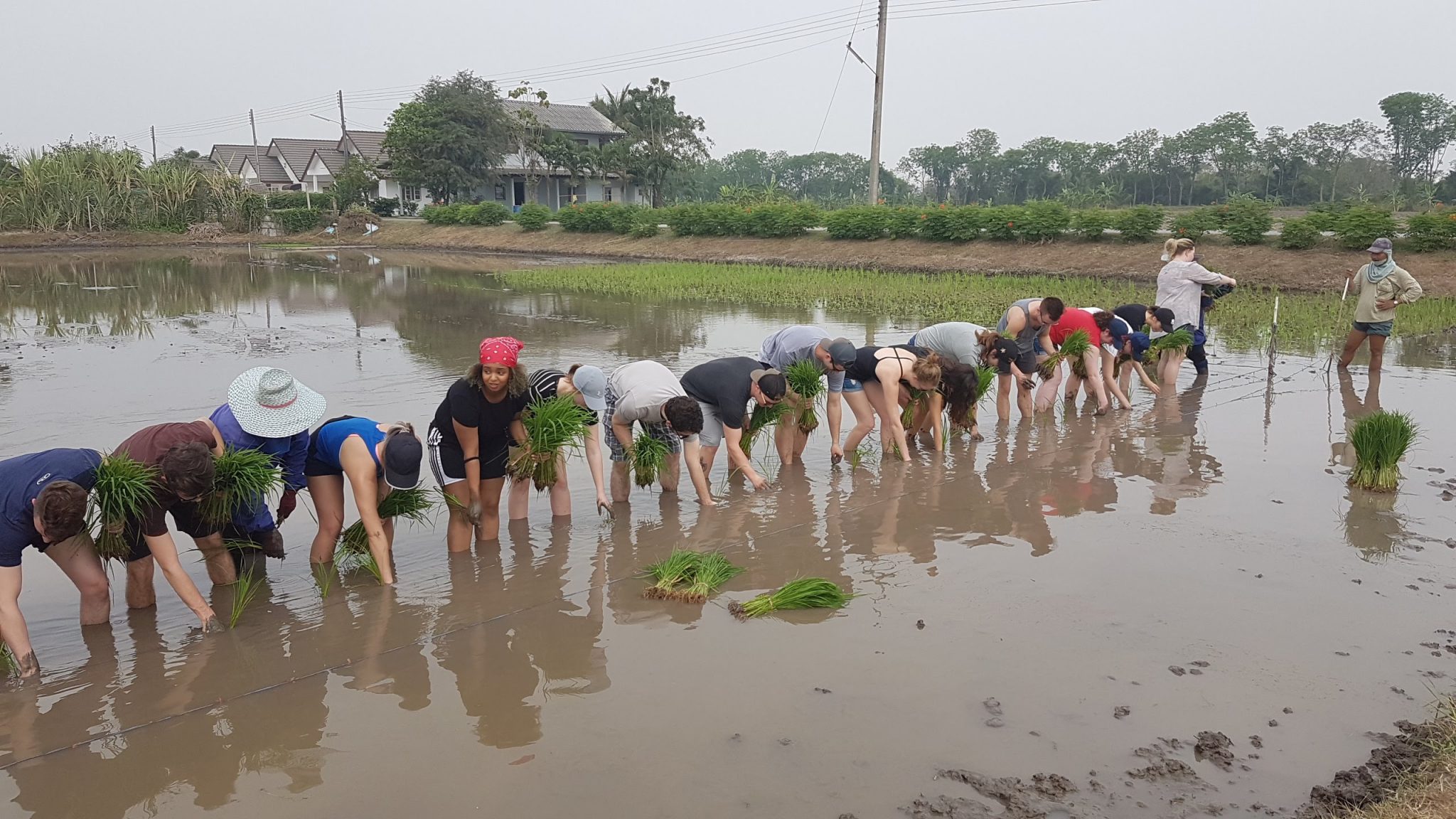 Sasin SEC team organizes sustainability trip for MacEwan University (Edmonton, Canada) students.