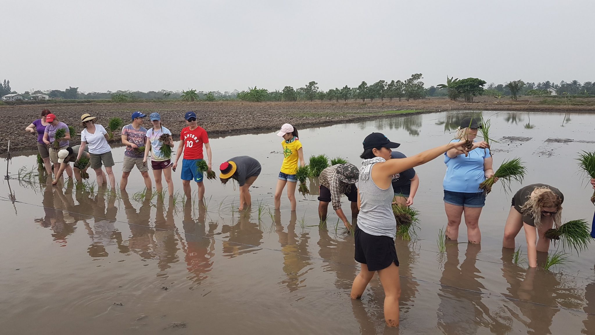 Sasin SEC team organizes sustainability trip for MacEwan University (Edmonton, Canada) students.