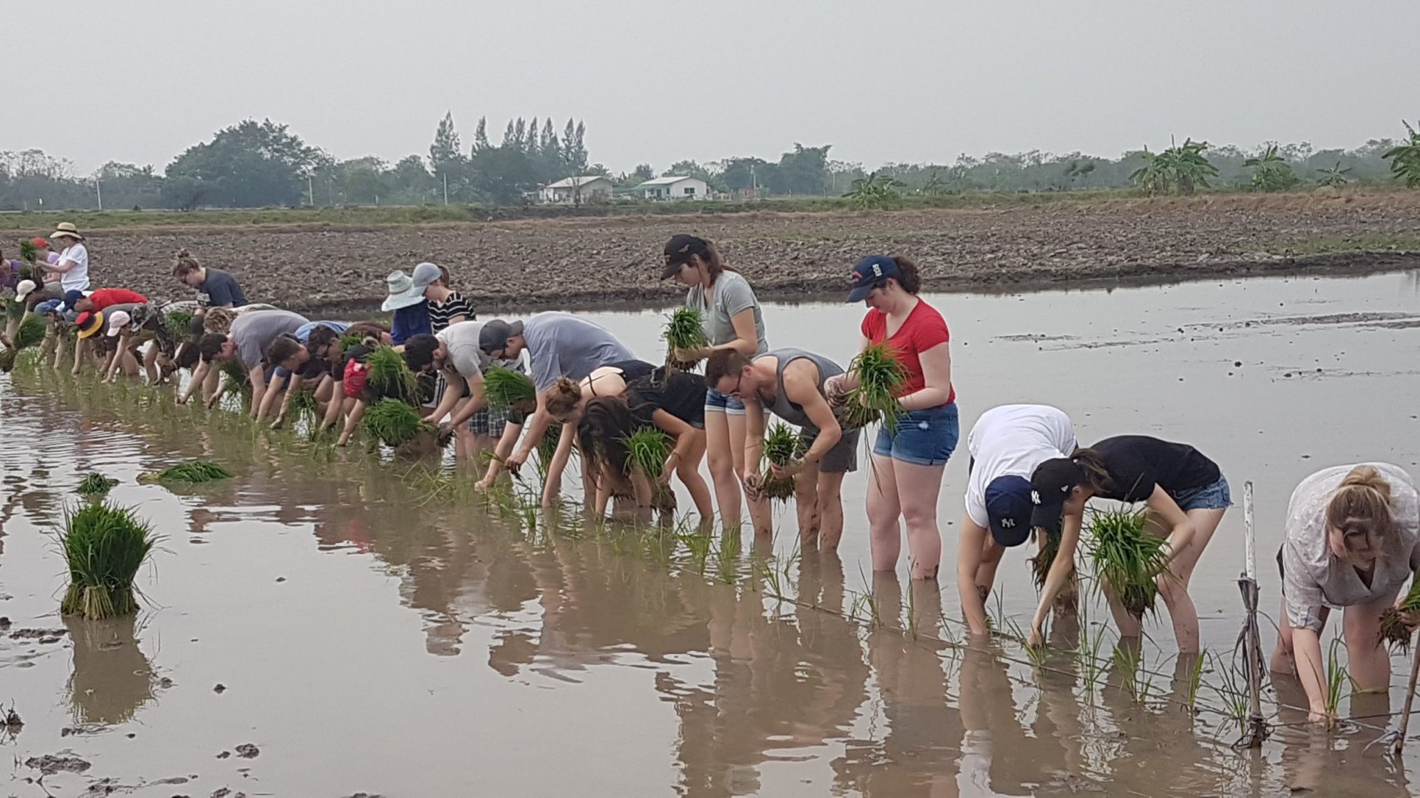 Sasin SEC team organizes sustainability trip for MacEwan University (Edmonton, Canada) students.